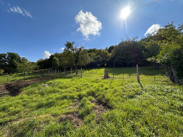 Terrain - 750 m²