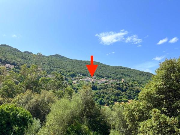 Terrains constructibles Corse du Sud