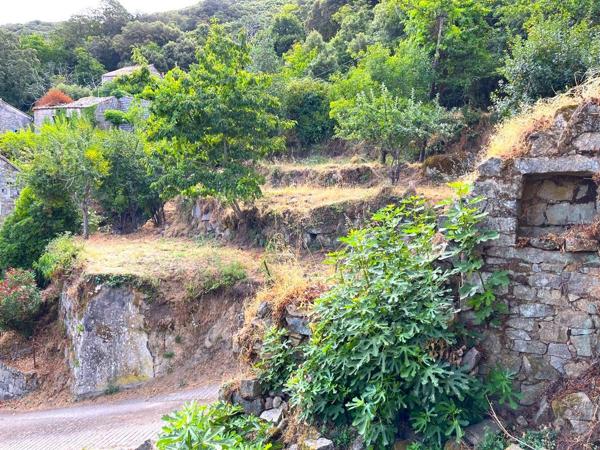 Terrains constructibles Corse du Sud