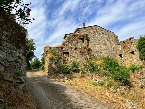 Terrains constructibles Corse du Sud