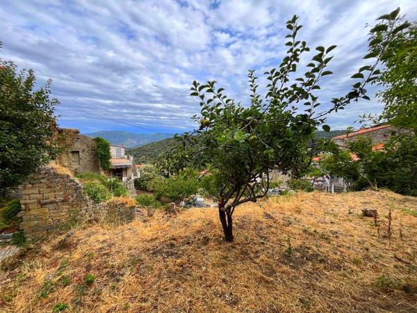 Terrains constructibles Corse du Sud