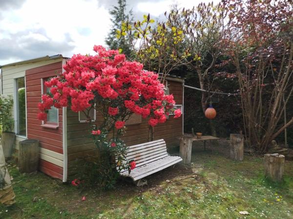 EXCLUSIVITE -PLEVIN- Charmante maison de 4 pièces sur sous-sol surélevé avec grand jardin arboré/paysager et plusieurs dépendances
