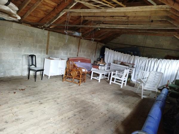 EXCLUSIVITE -PLEVIN- Charmante maison de 4 pièces sur sous-sol surélevé avec grand jardin arboré/paysager et plusieurs dépendances