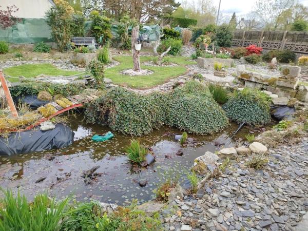 EXCLUSIVITE -PLEVIN- Charmante maison de 4 pièces sur sous-sol surélevé avec grand jardin arboré/paysager et plusieurs dépendances