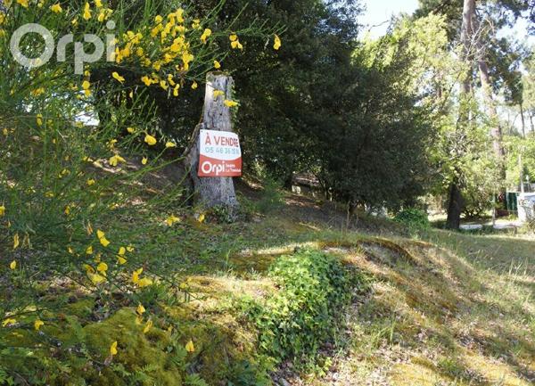 Terrain à vendre    La Tremblade