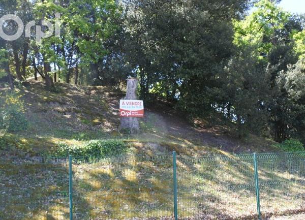 Terrain à vendre    La Tremblade