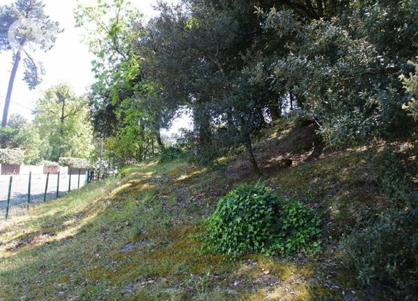 Terrain à vendre    La Tremblade