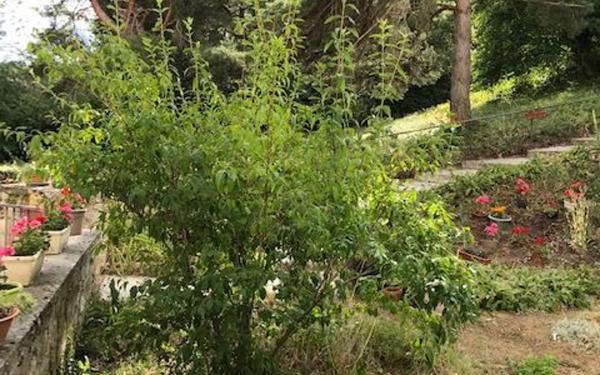 Appartement à louer    1 pièce • 30,59 m2 Laon