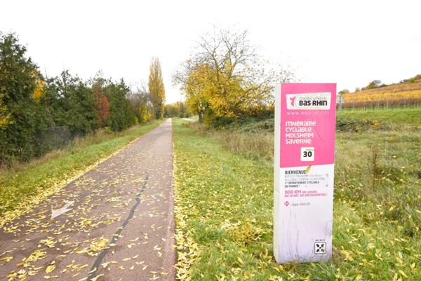 Terrain à vendre proche de MARLENHEIM (67) : Terrain Viabilisé : 577 m2 - Lotissement Strengenfeld - Libre architecte et constructeur - Plat - taille humaine