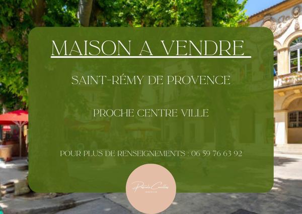 Vente / Maison en pierre