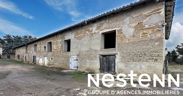 A vendre: Plateau duplex avec terrain à rénover entièrement- 69220 DRACE