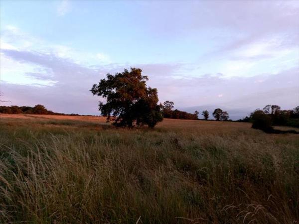Maison à vendre |  Saint-Maur |  2 pièces