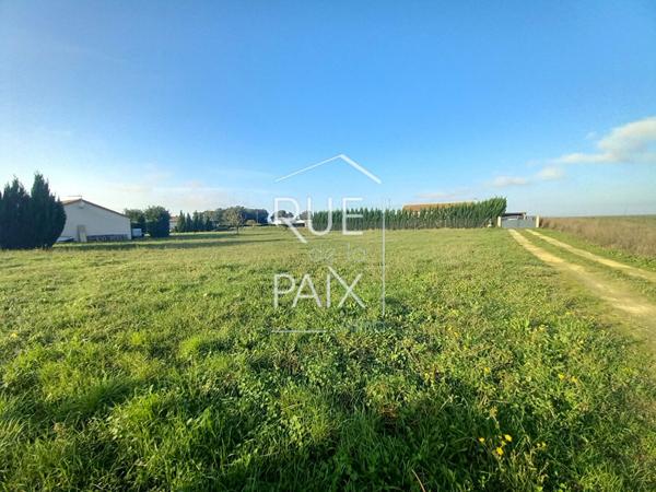 86200 MESSEME Terrain Constructible à MÉSSEMÉ 1131 m2