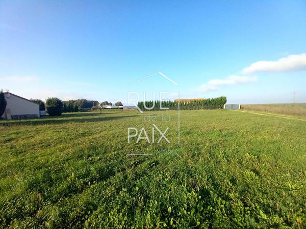 86200 MESSEME Terrain Constructible à MÉSSEMÉ 1131 m2