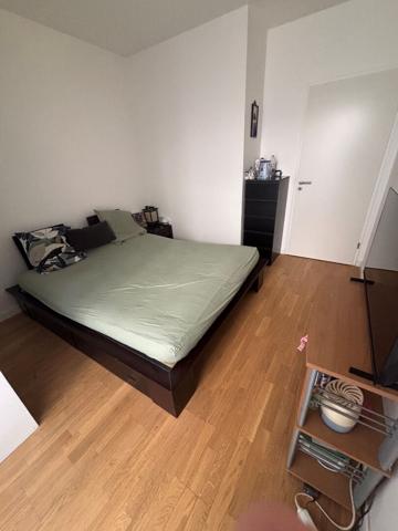appartement en RDJ  meublé