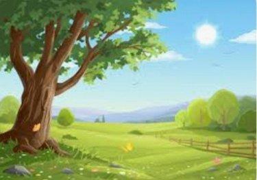 Terrain agricole à vendre à Anjouin dans l'Indre (36210), ref : 142545G