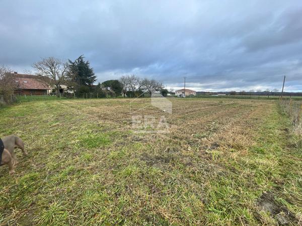 Terrain à vendre de 2500m2 à Estirac
