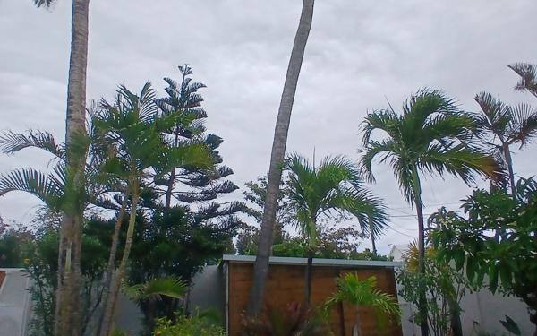 Maison à vendre    5 pièces • 185 m2 L'Étang-Salé