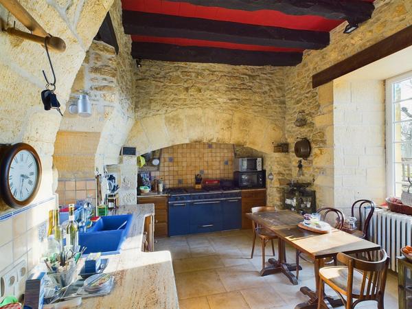 Beau manoir historique au coeur du Perigord Noir