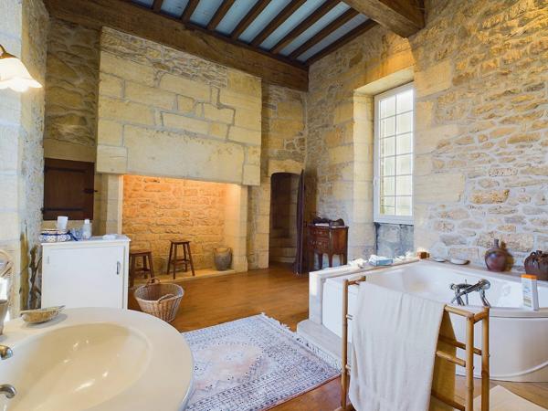 Beau manoir historique au coeur du Perigord Noir