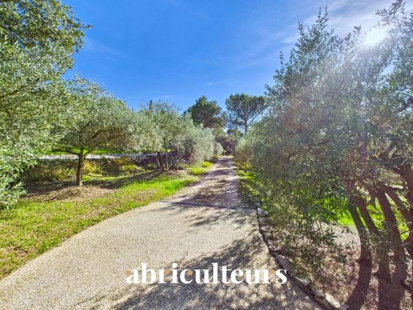 Villa d’architecte rénovée de 155 m² en vente au pied du Luberon à Cheval-Blanc (84460)
