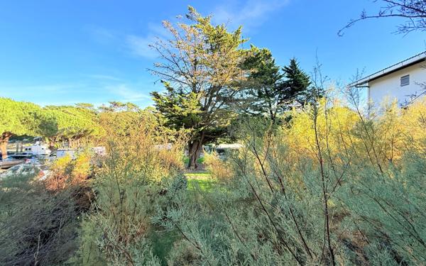 Appartement à vendre    3 pièces • 46,41 m2 Seignosse