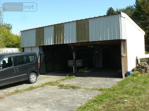 Maison à vendre à Ménil-sur-Belvitte dans les Vosges (88700), ref : 2246