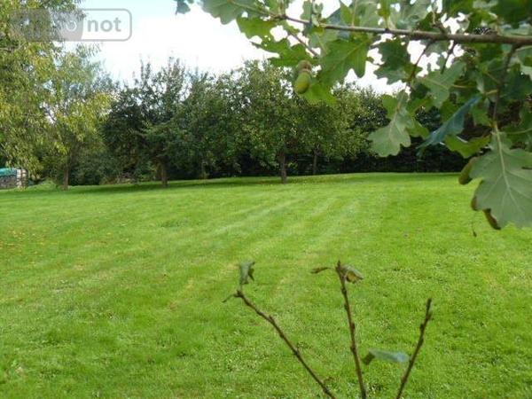 Maison à vendre à Ménil-sur-Belvitte dans les Vosges (88700), ref : 2246