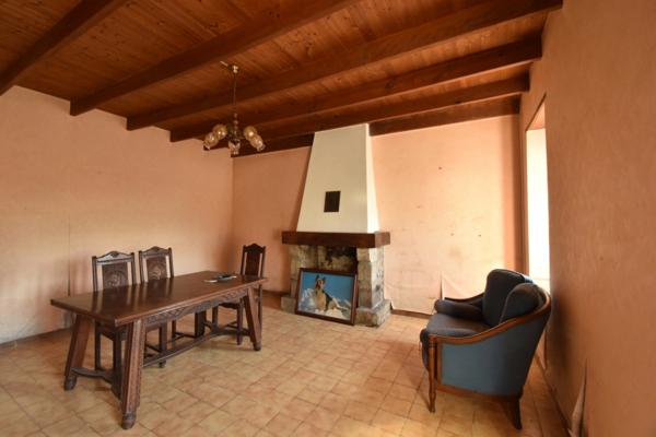 Maison en pierre avec grand terrain