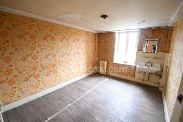 RARE OPPORTUNITÉ IMMOBILIÈRE À LONGUYON – ENSEMBLE DE 1 400 m² SUR PARC ARBORÉ DE 27 ARES ENVIRON