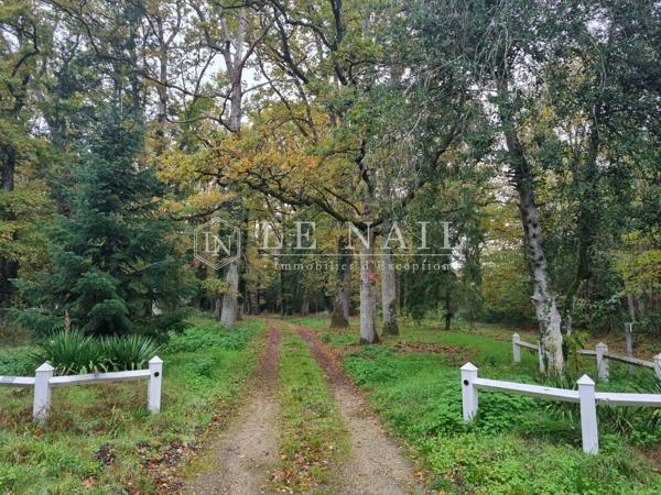 Belle propriété de 6,5 hectares en Sologne des Étangs à 2h10 de Paris
