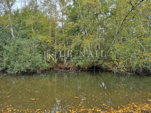 Belle propriété de 6,5 hectares en Sologne des Étangs à 2h10 de Paris