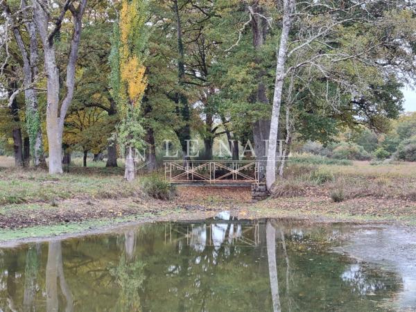 Belle propriété de 6,5 hectares en Sologne des Étangs à 2h10 de Paris