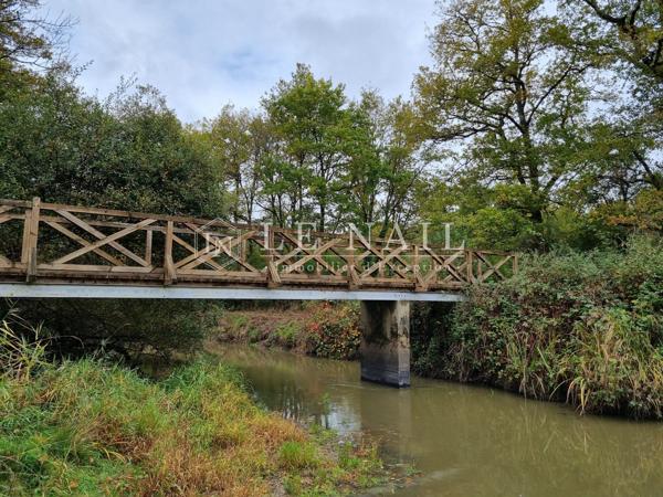 Belle propriété de 6,5 hectares en Sologne des Étangs à 2h10 de Paris