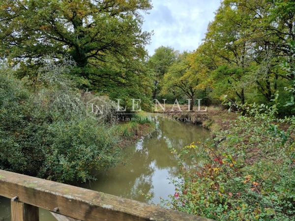 Belle propriété de 6,5 hectares en Sologne des Étangs à 2h10 de Paris