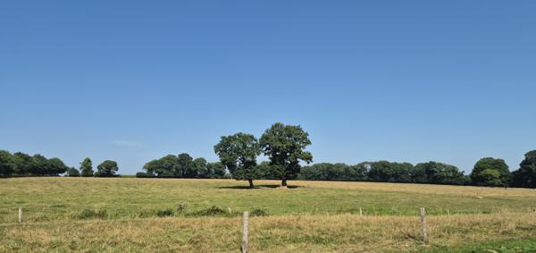Maison contemporaine en campagne avec sous sol et grenier aménageable et terrain 1500m2