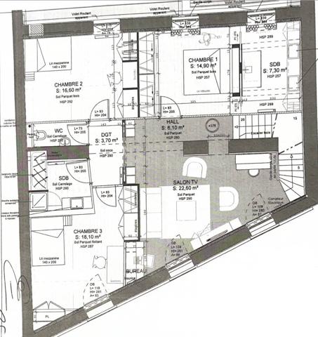 Roanne (42300) Grande maison coup de cœur au centre ville de Roanne (42300) 290m² - 4 chambres - piscine - garage