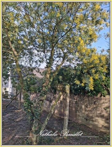 Saint-Denis-d'Orques (72350) Maison 164 m² avec double garage, jardin et cour