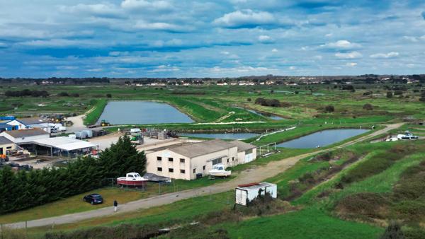 Moutiers-en-Retz (44760) Opportunité d'Investissement : Local Professionnel