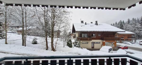 Appartement à CHATEL, 74390 - 1 pièce 24m²