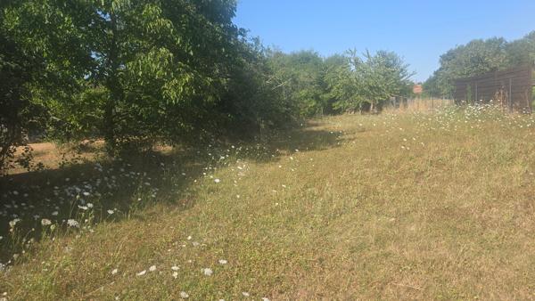 Terrain constructible Fay Aux Loges 1806 m2