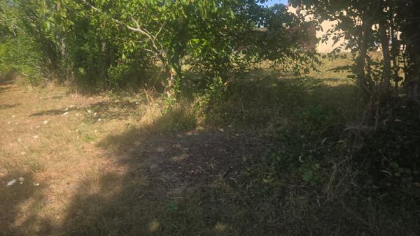 Terrain constructible Fay Aux Loges 1806 m2