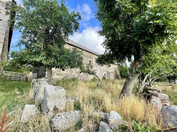 Maison à vendre à Peyre en Aubrac en Lozère (48130), ref : 48032-184