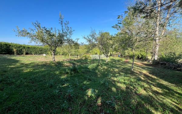 Terrain à vendre    Larche