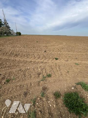 Terrain à bâtir