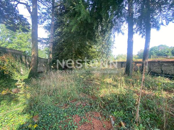 Maison en pierre offrant de jolis volumes et un très grand potentiel ! Terrain de 1 505 m2