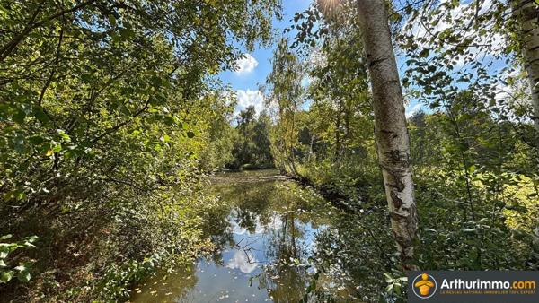 Vente Maison 3 pièces 77 m2 à Sainte-Montaine