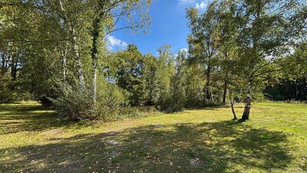 Vente Maison 3 pièces 77 m2 à Sainte-Montaine