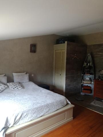 Maison L Isle Sur La Sorgue 6 pièce(s) 296 m2