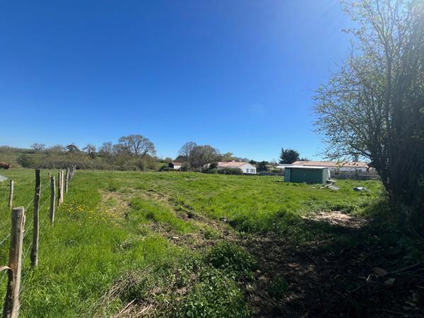 Terrain Saint Vincent Sur Jard - Hors Lotissement